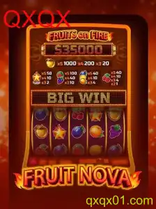 Explorando FruitNova: Um Mergulho no Mundo de Cores e Estratégia